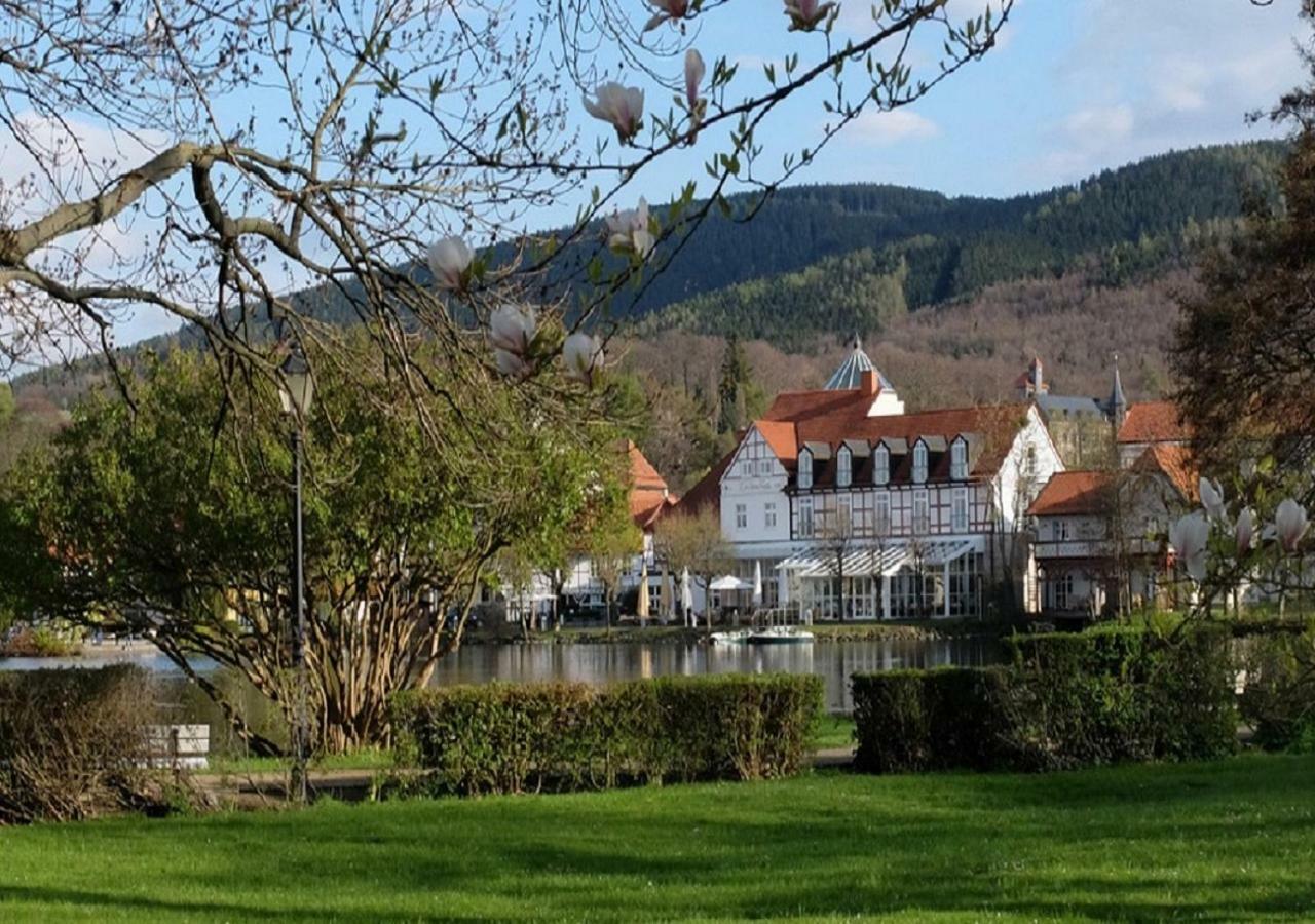 Ferienhaus Knopp #126486 Villa Ilsenburg Exterior foto